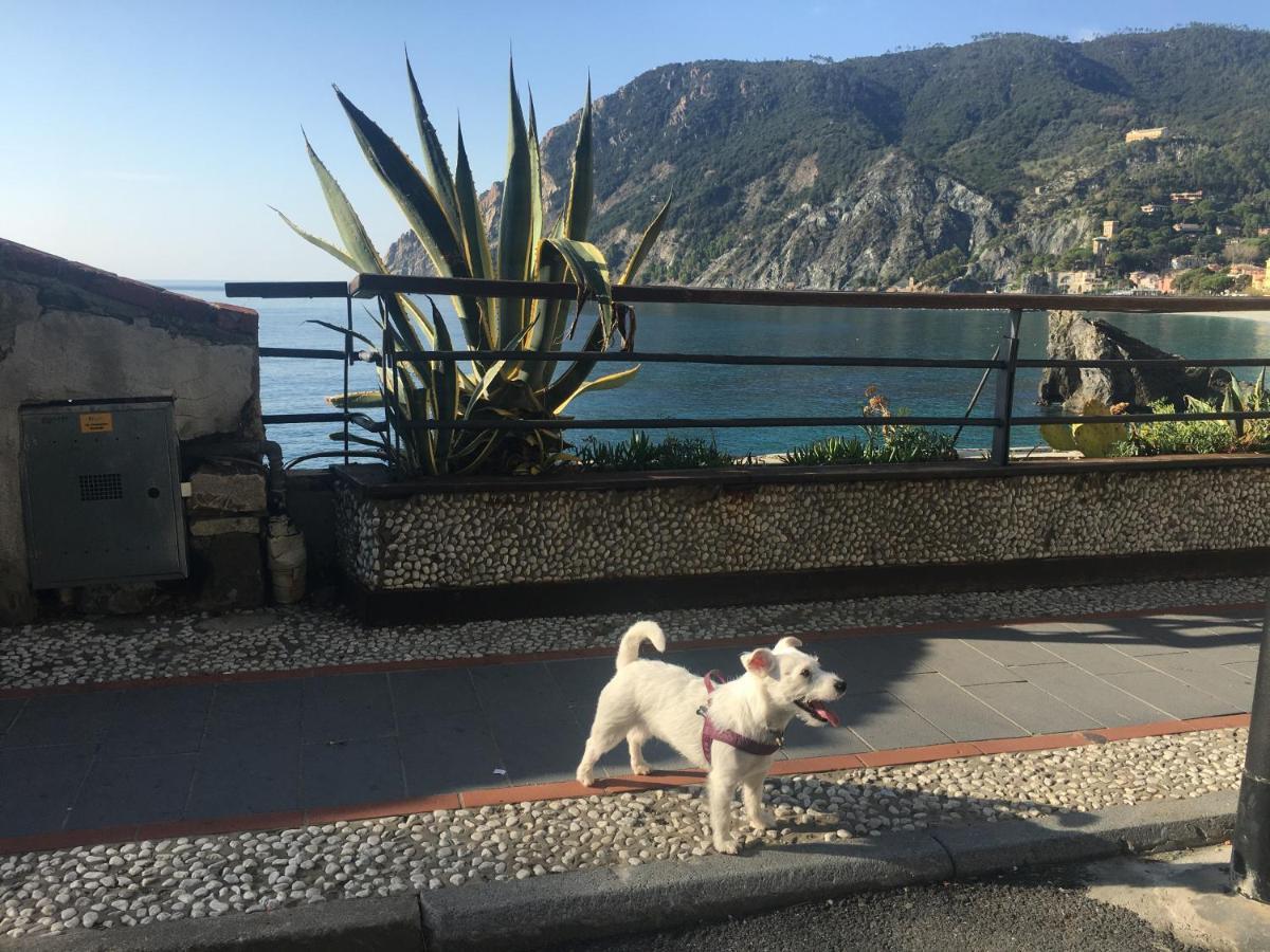 Le Cinque Vele ***** Cinque Terre Monterosso al Mare Exterior foto